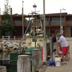 Bermagui - Wallaga Lakes